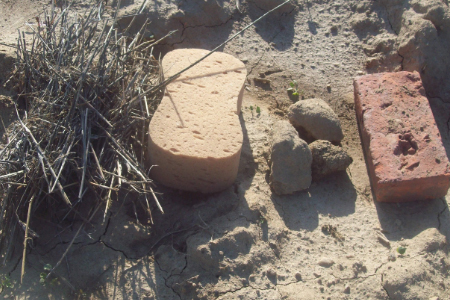 SOM, Sponge, clods, and brick brick sponge