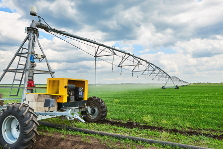 Using Cover Crops to Improve Soil and Water Quality water crops