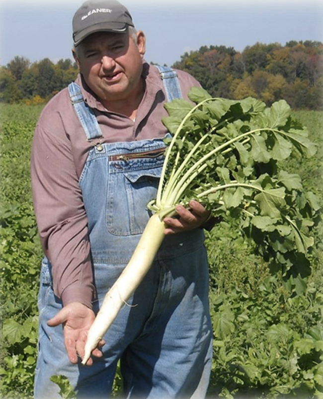 David William Brandt David William Brandt in field