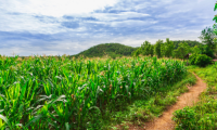 Hoorman Soil Health News Improving Spray Performance