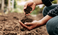 soil health