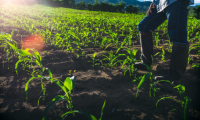 Hoorman Soil Health News Improving Your Farm