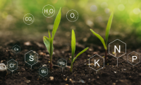 Natural Nitrogen Sources: