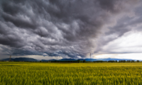 soil health, storm