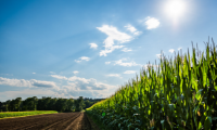 soil health, storm