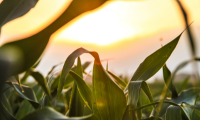 soil health, storm