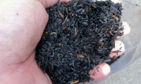 Biochar Soil Benefits