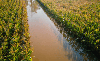 soil health, storm