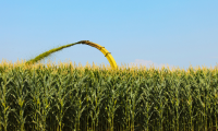 Does Soil Health Improve Milk Production?