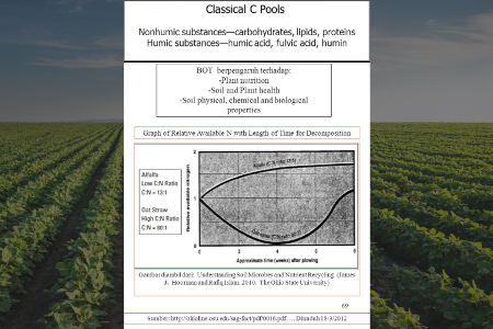 Presentation slide on nitrogen release and carbon to nitrogen ratio