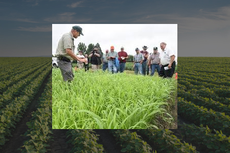 Jim Hoorman at a no-till field day