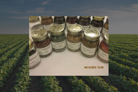 Jars of cover crop seed arranged as an educational display
