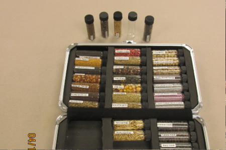 seed display seeds